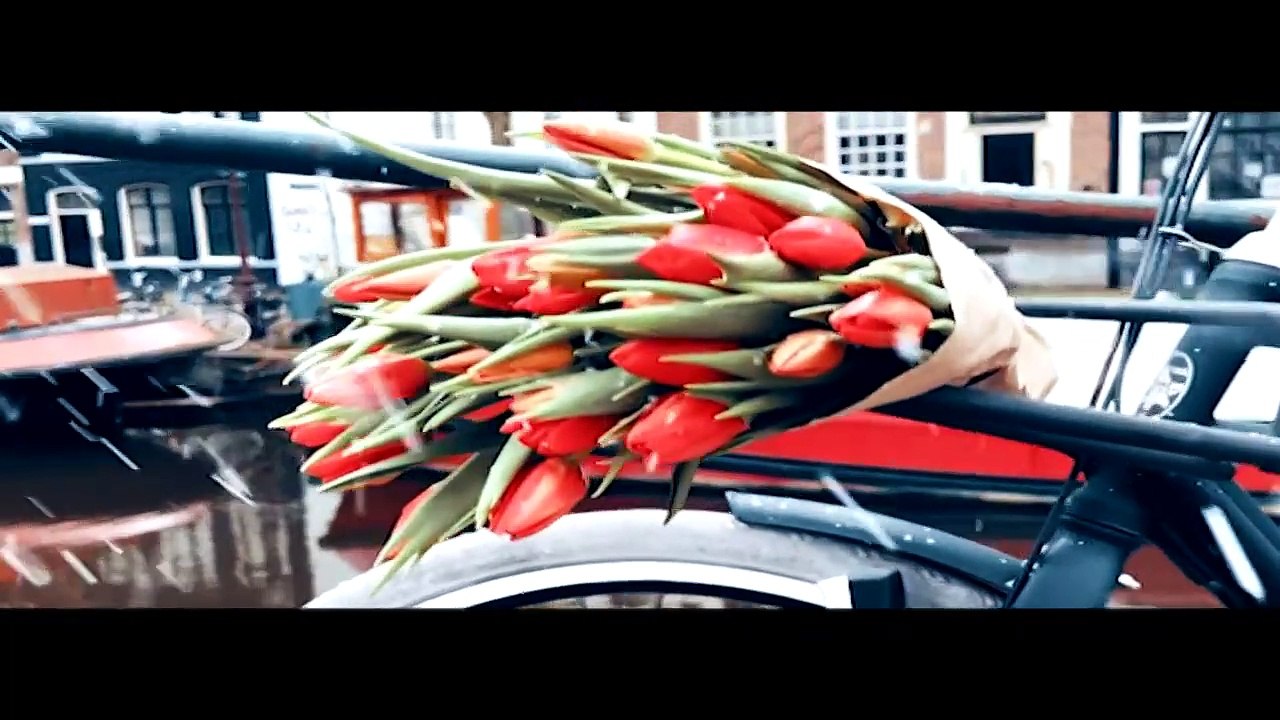 Maximilian Arland — Es liegt noch Schnee in Amsterdam | von Schlager Für Alle: Herbst/Winter 2022/2023