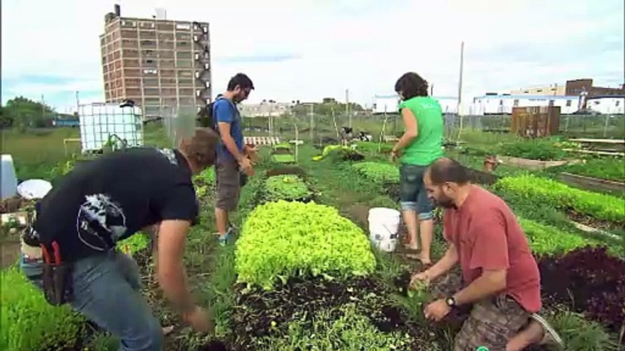 PLAN B FÜR DIE ERDE – Wer rettet Mutter Natur? | movie | 2018 | Official Trailer