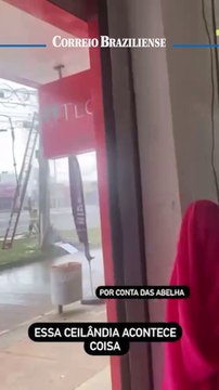 Enxame de abelhas ataca moradores de Ceilândia