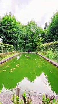 Dieu vous enverra quelqu'un qui vous méritera vraiment #success #proverbe #conseil #motivationalvideo #sagesse