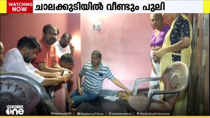 തൃശൂർ ചാലക്കുടിയിൽ വീണ്ടും പുലിയെ കണ്ടതായി നാട്ടുകാർ | leopard in chalakudy