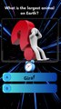 Can You Guess The Biggest Animal That Ever Lived? #shortvideo #mindbendingquiz #triviatricks #quiz #