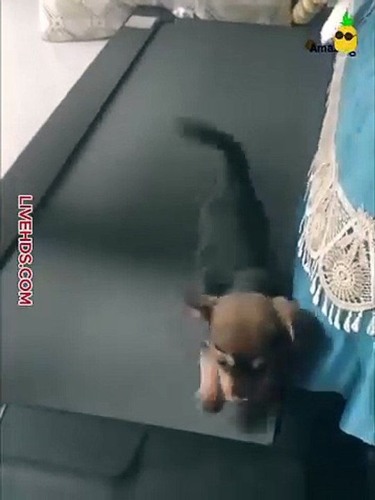 1000489668