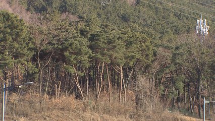 [날씨] 주말, 찬바람 불며 꽃샘추위...강풍·대기 건조 여전 / YTN