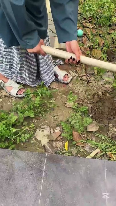 Baby laughter