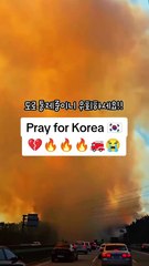 Pray for Korea💜💜💔