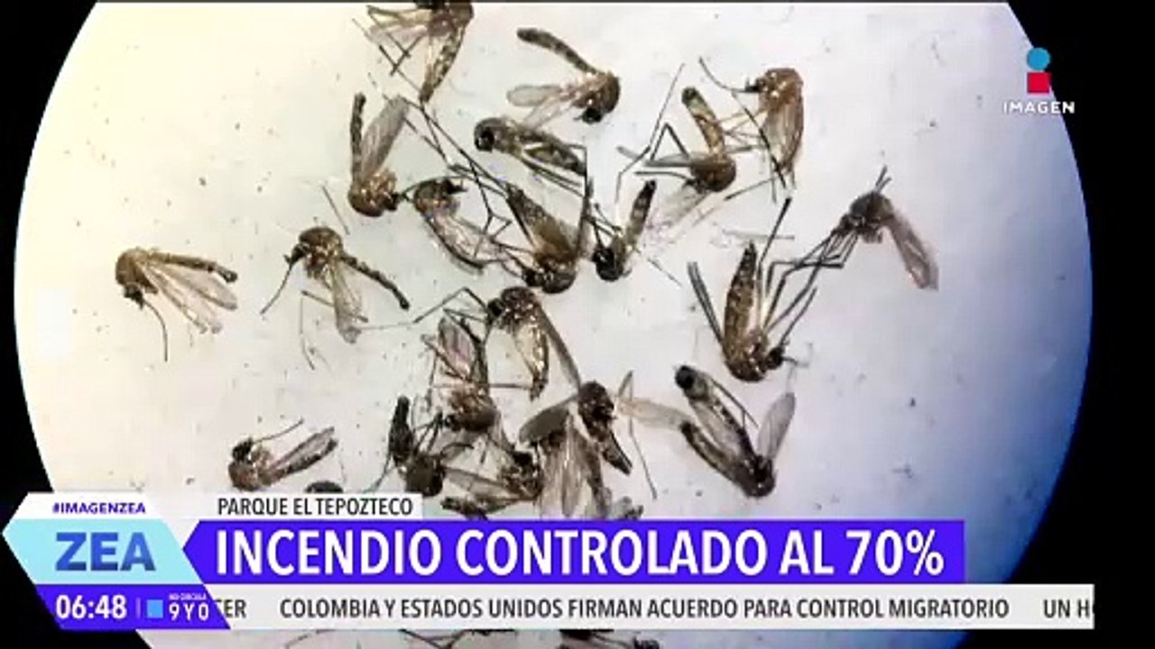 Suman 2 mil 432 casos de dengue en México en lo que va del año