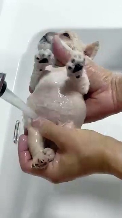 Take a shower and go to sleep, my sweet lady😍