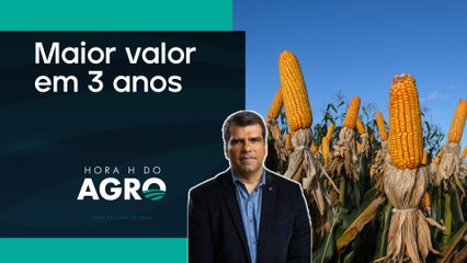 Milho e impacto nas carnes deve pressionar por alta na inflação; entenda | HORA H DO AGRO