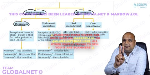 09. Neuro-ophtha- Color blindness and Congenital anomalies