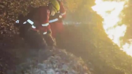 "두꺼운 낙엽층이 연료 역할"...이 시각 경남 산청 / YTN