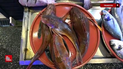 Karadeniz'de tezgahlarda kırlangıç ve kalkan bereketi