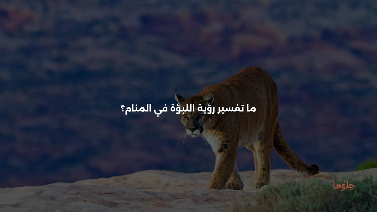 ما تفسير رؤية اللبؤة في المنام؟