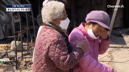 영남권 산불로 재산 전부 잃은 주민들, 잿빛 세상에 절망 😢