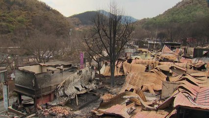 '바람 방향 불길에 갇혀'...사망자만 7명 영양 석보면 / YTN