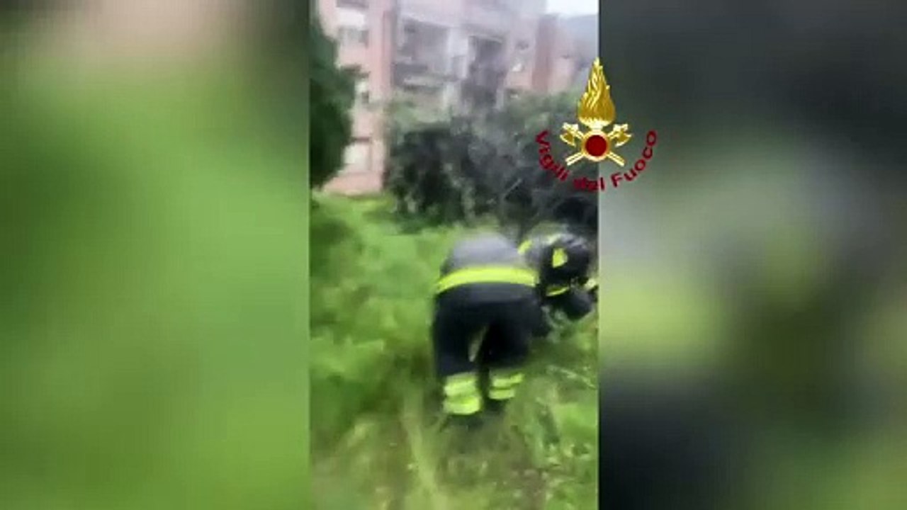 Messina - Maltempo: frane, allagamenti e alberi caduti, le immagini dei Vigili del Fuoco (29.03.25)