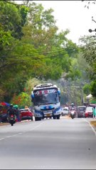 ഇവരെക്കാൾ വേറെ ഒന്നിനെയും ഞാൻ ഇതുവരെ സ്നേഹിച്ചിട്ടില്ല 🖤🤍❤️