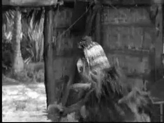 Bela Lugosi Meets a Brooklyn Gorilla