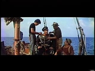 Beneath the 12 Mile Reef