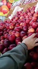 قبل العيد.. زحام المواطنين على شوادر الخضروات والفاكهة