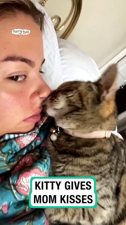 Lach dich schlapp mit Lustige Pfoten Ч. 22