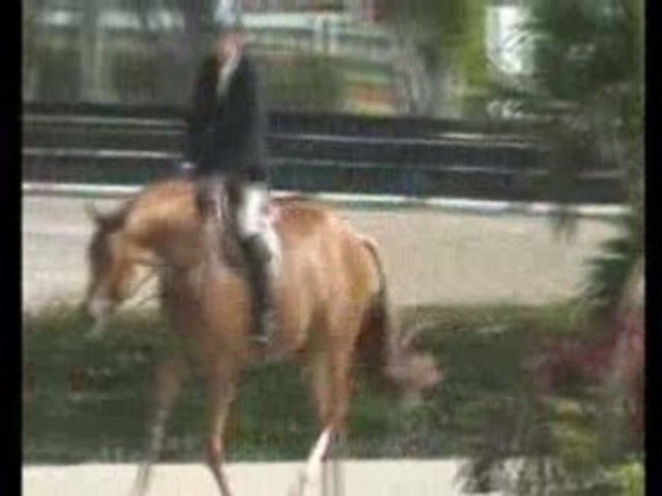 Parcours Hunter style commenté par Adeline Wirth