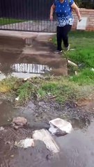 Desborde de cloacas en Los Corralitos