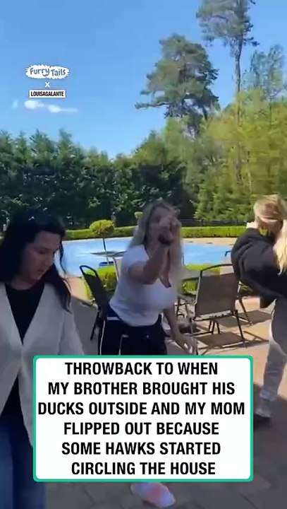 Lach dich schlapp mit Lustige Pfoten Ч. 23