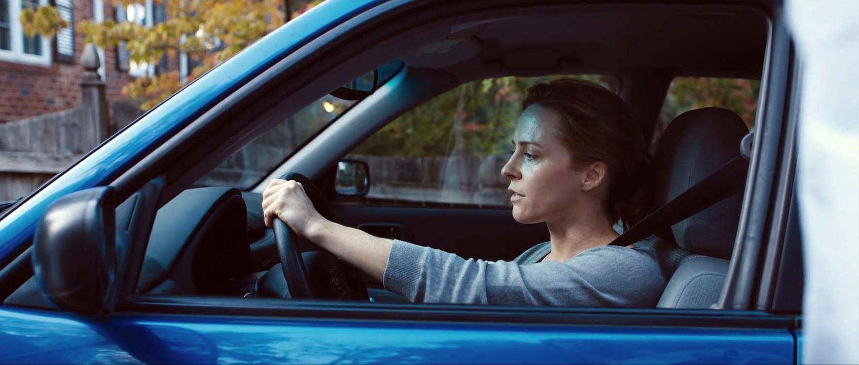 Blue Ruin