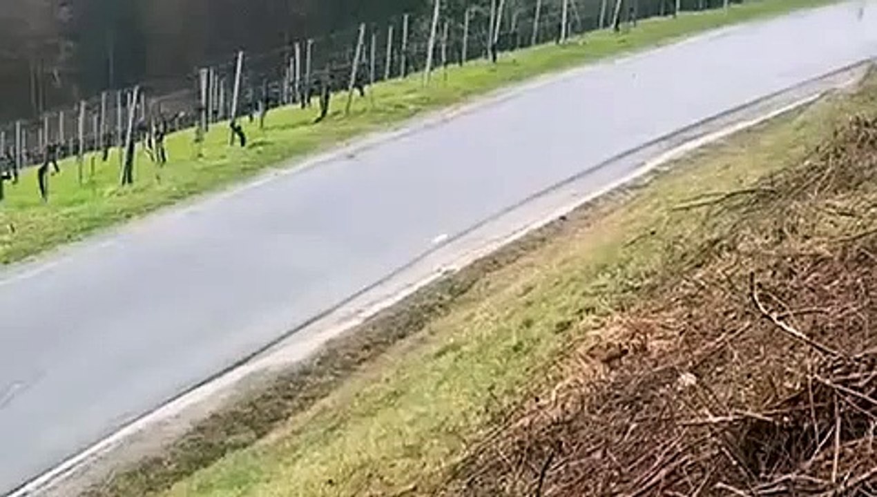 Rallye Rebenland 2025 Crazy Crash In A Field