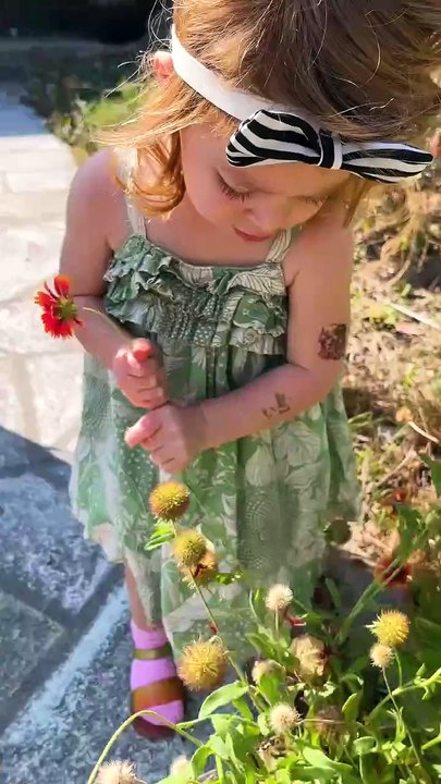 Nature Flag Activity! 🌿