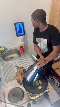 Funny clips#dailymotion #youtube #facebook #twitter #twitch #motiongraphics #deezer #tv #dlive #instagram #stream #motion #twitchstreamer #fightingmentalillness #twitchclips #twitchretweet #twitchaffiliate #twitchshare #ant #scribaland #tiktok #greece #sp