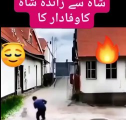 Entertainment#Videos funny#shortmove#shortviral#s