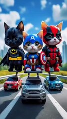 Amazing Cat Dance 🐾🙀#dancingcat #catdance #babyshorts #cuteanimals