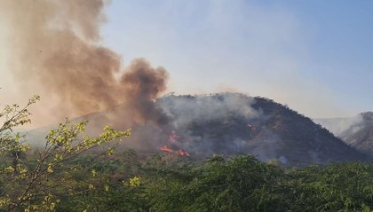 जयसमंद अभयारण्य की पहाड़ी धधकी, 250 हेक्टेयर क्षेत्र जलकर राख
