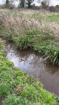 This water vole eating his tea was filmed in the Basins by Wellington man Richard Chivers.