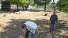 Steph11 qui attrape un kangourou