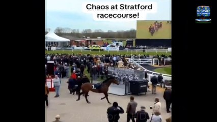 Chaos at Stratford Races as loose horse runs through spectator area forcing punters to rush aside