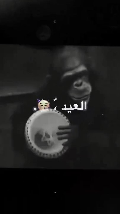 احنا في العيد 😂🤣🤣