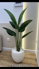 Cây Chuối Giả – Điểm Nhấn Xanh Sang Trọng Cho Mọi Không Gian