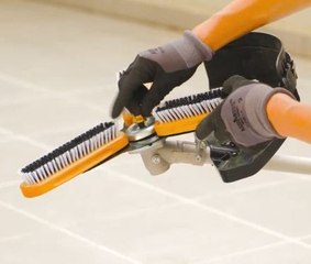 Neat & Trim! Genius Tricks to Keep Your Yard Looking Its Best!