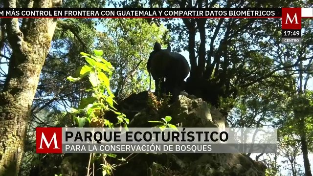 Parque ecoturístico San Bernabé Ocotepec busca ayudar a la conservación de bosques | Milenio Hábitat