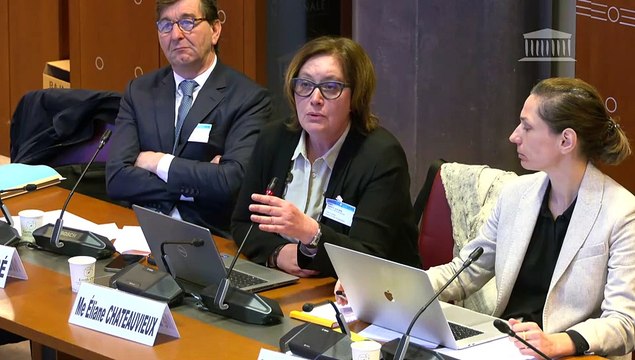 Défaillances des pouvoirs publics face aux plans de licenciements : Auditions diverses - Mardi 1 avril 2025