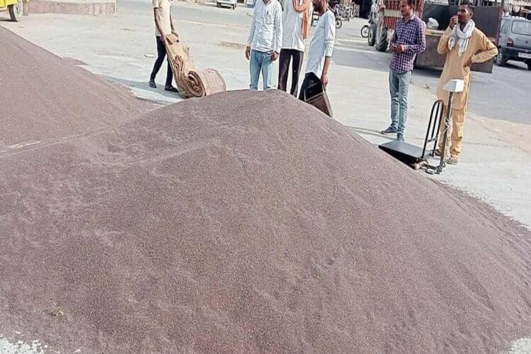 swm news...इस बार प्रति किसान 40 क्विंटल होगी स...