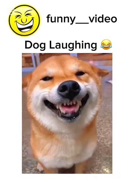 Funny