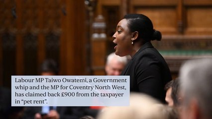 Labour MP expensed £900 ‘pet rent’ so dog could stay at second home