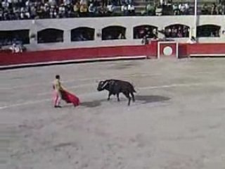 Rafaelillo Alès 2008