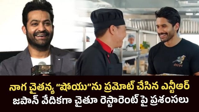 Naga Chaitanya Jr NTR : జపాన్ లో ఎన్టీఆర్ AKKINENI Fans కి పెద్ద సర్ప్రైజ్ ఇచ్చాడు| filmibeat telugu