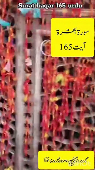 Saleemoffical presentation- سورة بقرة آيت 165  اردو ترجمہ