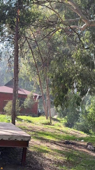 شيش طاووق على الفحم و اجواء العيد في تركية مدينة مرسين (3)